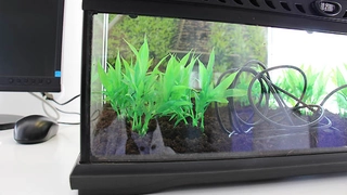 Terrarium bei Kontron Augsburg