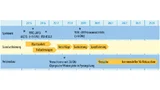 Die ITU bestimmt mit der Vergabe der Frequenzen die wesentlichen Faktoren im Zeitplan für die Einführung von 5G-Mobilfunknetzen. Voraussichtlich erst 2019 wird in der World Radiocommunication Conference über die Frequenznutzung im Millimeterwellenber