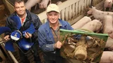 Ziehl Abegg EC-Lüfter
