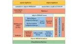 Architektur der AUTOSAR-Adaptive-Plattform