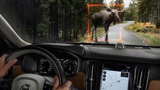 Ich glaub mich knutscht ein Elch? Lieber nicht. City Safety im Volvo S90 ermöglicht die Erkennung großer Tiere bei Tag und auch in der Nacht. 