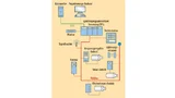 Ein SPS-Knoten stellt einerseits die Verbindung zu einem zentralen Webserver her, ist aber anderseits auch mit vielen Feldgeräten und einen MHI vernetzt