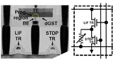 TEM-Bild (Transmissionselektronenmikroskop) der synaptischen PCM-Zelle in einer 2T-1R-Konfiguration. Als PC-Material wurde dotiertes GeSbTe (dGST) verwendet.