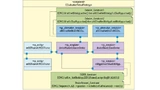3. Struktur der exemplarischen Zentralkomponente