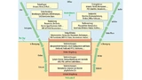 Datenflüsse und Aufgabenverteilung an der Schnittstelle zwischen Unternehmens-IT und Prüfstands-IT (The Edge)