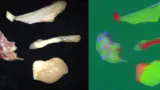 Bild 1: Während im Realbild die verschiedenen Bestandteile von Hühnern kaum zu unterscheiden sind, heben sich im CCI-Bild Fleisch (grün), Fett (rot) und Knochen (blau) deutlich voneinander ab.