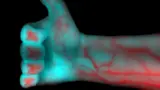Bild 4: Mit CCI und einem Hyperspektral-Aufbau ist es in der Medizin bereits gelungen, eine menschliche Hand aufzunehmen und die darin befindlichen Blutgefäße sichtbar zu machen.