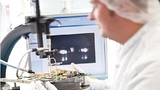 Bebro begleitet durch die Entwicklung