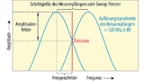 Worst-Case-Szenario für Abweichungen zwischen Störsignalfrequenz und Messfrequenz des Empfängers.
