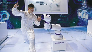 Der Prototyp des kollaborativen Roboters vom chinesischen Entwickler Siasun wurde auf der World Robots Conference in Beijing öffentlich vorgestellt - hier kollaboriert der Siebenachs-Roboter mit einem Tai Chi Meister.