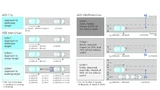 Bild 2. Euro-NCAP-Testprotokolle für AEB City, Inter-Urban und AEB VRU/Pedestrian.
