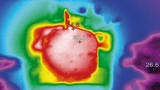 Bild 4: Wärmebild LTM4636: Bei der Wandlung von 12 V auf 1 V/40 A steigt die Temperatur um nur 40 K. 