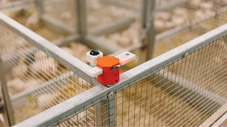 und zur Erfassung der Umgebungsbedingungen in der Tierzucht