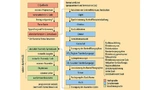 Strukturdiagramm des CompCert-Compiler