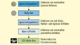 xBild 15. Qualitätskontrolle während des Herstellprozesses von SiC bei Rohm