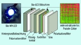 Bild 3. Schematische Aufbau eins Bio-LCD-Bildschirms mit einer Bio-WHLED als Hintergrundbeleuchtung und einem mikrostrukturierten Protein-Gitter als Farbfilter.