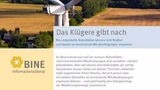Das BINE-Projektinfo »Das Klügere gibt nach« (16/2016)