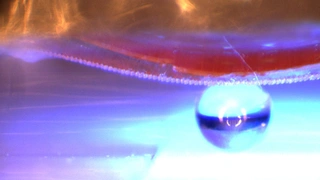 Angestrahlt mit UV-Licht biegt sich das intelligente Haftmaterial. So kann es flache und dreidimensionale Objekte (hier eine Glaskugel mit einem Durchmesser von einem Millimeter) anheben, transportieren und wieder absetzen.