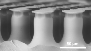Das zweite, klebende, Material ist ein Polymer, das nach Vorbildern aus der Natur entwickelt wurde. Seine Oberfläche besteht aus einer pilzkopfförmigen Mikrostruktur, die unter dem Rasterelektronenmikroskop sichtbar wird. Sie ist starkklebenden, reve