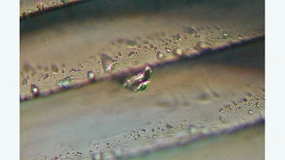 Wassertröpfchen bei extremer Vergrößerung im optischen Foliensatz der Display-Hinterleuchtung (BEF-Folie)