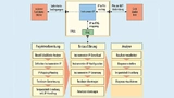 Typischer Prozessfluss beim Einsatz von FPGA-embedded Instruments