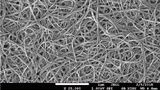 Struktur wie Filz: Kohlenstoff-Nanoröhrchen unter dem Elektronenmikroskop
