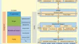 OSI-Schichten-Modell angewandt für die ITS Station Reference Architecture.
