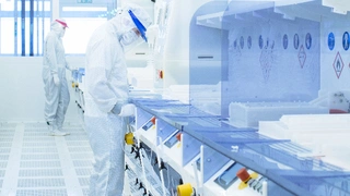 Die BMBF-geförderte Forschungsfabrik Mikroelektronik Deutschland ist eine flankierende Maßnahme zu dem gemeinsam von Deutschland, Frankreich, Italien und Großbritannien beantragten »Important Project of Common European Interest (IPCEI)«