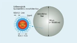 Quantum Dots lassen sich aufgrund ihrer geringen Größe einfach verarbeiten.