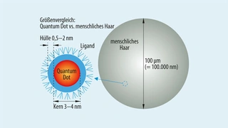 Quantum Dots lassen sich aufgrund ihrer geringen Größe einfach verarbeiten.