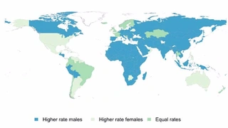 Im global Durchschnitt sind 12 Prozent mehr Männer im Internet unterwegs als Frauen. 