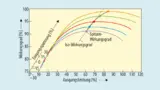 Typischer dreidimensionaler Plot des Systemwirkungsgrades.