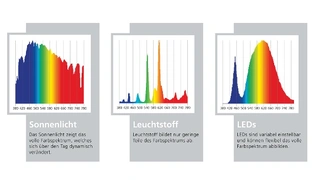 Farbspektren, die von Sonnenlicht (links), Leuchtstoff (Mitte) und LEDs (rechts) ausgehen. LEDs sind variabel einstellbar und können das volle Farbspektrum flexibel abbilden.