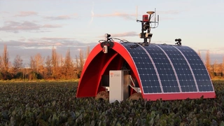 Vom Marienkäfer inspiriert ist die Ladybird-Plattform. Er ist batterie- und solarbetrieben und verfügt über verschiedene Erfassungssysteme, zum Beispiel Hyperspektral-, Thermo-, Infrarot-, Panorama-, Stereovision mit stroboskopischer Beleuchtung, LiD