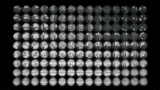 135 kleine Einzelbilder, alle etwas gegeneinander verschoben, auf dem Bildsensor-Chip