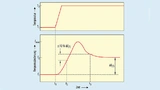Bei den für Präzisionsquarzen üblichen Alterungswerten von Δf/f = 10–8 bis 10–10 erfolgt nach einer plötzlichen Temperaturänderung ein Überschwingen.