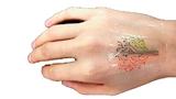 Baumtattoo aus dem Drucker: Jeder Ast reagiert auf eine andere Chemikalie. 