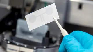 Die Elektroden sind weniger als einen Mikrometer dünn und aus mehreren Schichten aufgebaut.