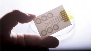 Leitfähige Polymere gedruckt auf handelsübliches Abziehbild-Papier ergeben die Tattoo-Elektroden.