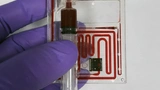 Bild 2. Blutprobe im Mikrofluid-Chip