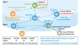 in IQRF-Netzwerk benötigt einen zentralen Knoten, der als Koordinator das Netzwerk ­steuert. Um neue Knoten in einem IQRF-Netzwerk anzumelden, muss der neue Knoten elektrisch mit dem Koordinator „verpaart“ werden.