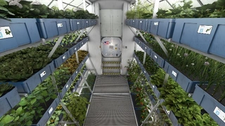 Kennedy Space Center: Bodenforschungsstation der NASA mit Osram-Forschungsleuchte.