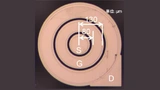 Flosfia, Galliumoxid, MOSFET