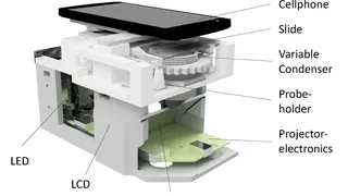 Platz 8: Das Smartphone als Hochleistungsmikroskop Moderne Mobiltelefone, ausgestattet mit leistungsfähigen Kameras, Prozessoren und Grafikkarten, können technisch wesentlich mehr als nur schöne Schnappschüsse liefern. Wissenschaftler des Leibniz-Ins