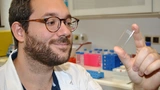 Um das neuronale Netzwerk zu trainieren, presste Alexander Kihm Blut durch hauchfeine Mikroröhrchen in einem solchen Objektträger und klassifizierte die Blutkörperchen unter dem Mikroskop.