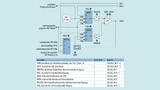 Schalplan des Smart-Analog-Combo-Moduls im MSP430.