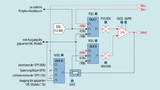 Schalplan des Analog-Combo-Moduls im MSP430 als Operationsverstärker programmiert.