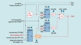 Schaltplan des Analog-Combo-Moduls im MSP430 im Generatorbetrieb.