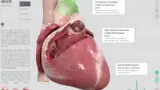 Screenshot Complete Heart