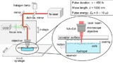 Schematische Darstellung des 3D femtosecond bio-printing-Aufbaus